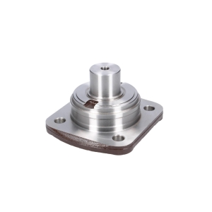 TAS BAŞI TOZ KAPAĞI